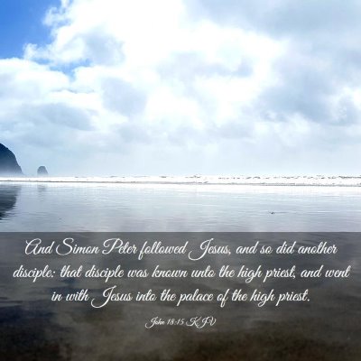 Picture 03 - John 18:15 KJV - And Simon Peter followed Jesus, and so did - Bible Verse Picture