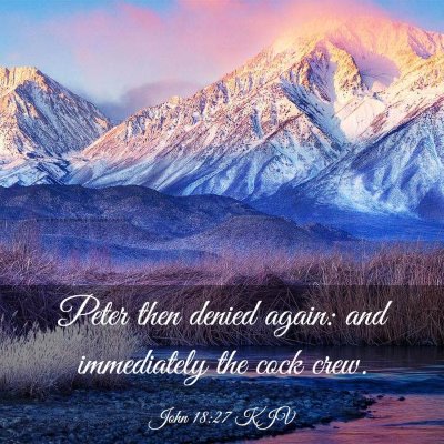 Picture 03 - John 18:27 KJV - Peter then denied again: and immediately the cock - Bible Verse Picture