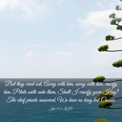Picture 03 - John 19:15 KJV - But they cried out, Away with him, away with him, - Bible Verse Picture