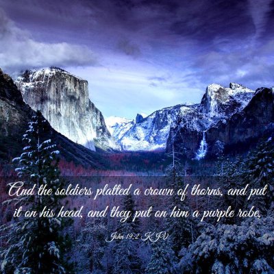 Picture 03 - John 19:2 KJV - And the soldiers platted a crown of thorns, and - Bible Verse Picture