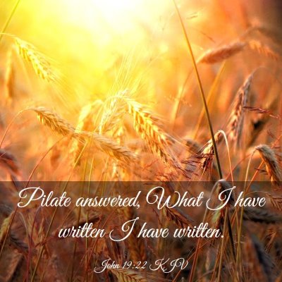 Picture 03 - John 19:22 KJV - Pilate answered, What I have written I have - Bible Verse Picture