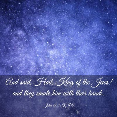Picture 03 - John 19:3 KJV - And said, Hail, King of the Jews! and they smote - Bible Verse Picture