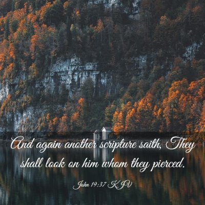 Picture 03 - John 19:37 KJV - And again another scripture saith, They shall - Bible Verse Picture