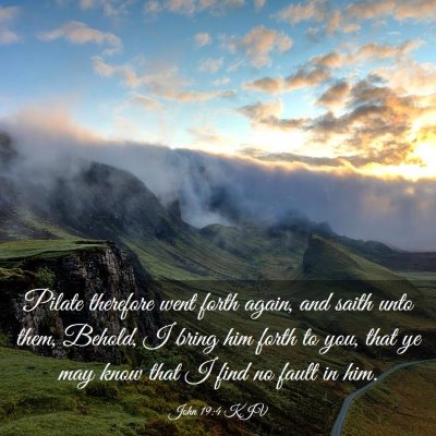 Picture 03 - John 19:4 KJV - Pilate therefore went forth again, and saith unto - Bible Verse Picture