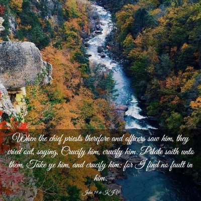 Picture 03 - John 19:6 KJV - When the chief priests therefore and officers saw - Bible Verse Picture