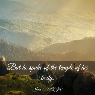 Picture 03 - John 2:21 KJV - But he spake of the temple of his - Bible Verse Picture