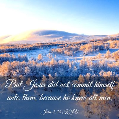 Picture 03 - John 2:24 KJV - But Jesus did not commit himself unto them, - Bible Verse Picture