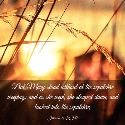 Picture 03 - John 20:11 KJV - But Mary stood without at the sepulchre weeping: - Bible Verse Picture