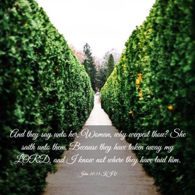 Picture 03 - John 20:13 KJV - And they say unto her, Woman, why weepest thou? - Bible Verse Picture