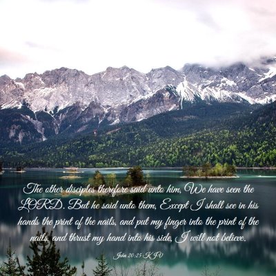 Picture 03 - John 20:25 KJV - The other disciples therefore said unto him, We - Bible Verse Picture