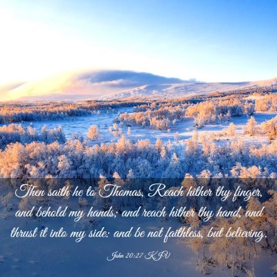 Picture 03 - John 20:27 KJV - Then saith he to Thomas, Reach hither thy finger, - Bible Verse Picture