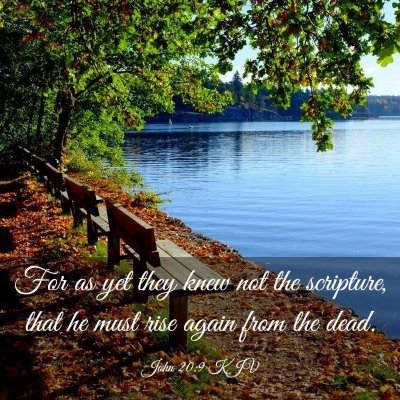 Picture 03 - John 20:9 KJV - For as yet they knew not the scripture, that he - Bible Verse Picture