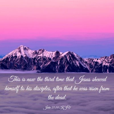 Picture 03 - John 21:14 KJV - This is now the third time that Jesus shewed - Bible Verse Picture