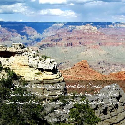 Picture 03 - John 21:16 KJV - He saith to him again the second time, Simon, son - Bible Verse Picture