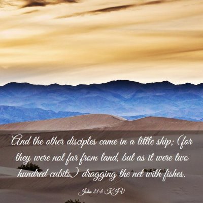 Picture 03 - John 21:8 KJV - And the other disciples came in a little ship; - Bible Verse Picture