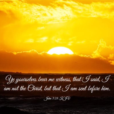 Picture 03 - John 3:28 KJV - Ye yourselves bear me witness, that I said, I am - Bible Verse Picture