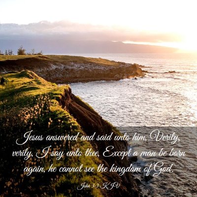 Picture 03 - John 3:3 KJV - Jesus answered and said unto him, Verily, verily, - Bible Verse Picture
