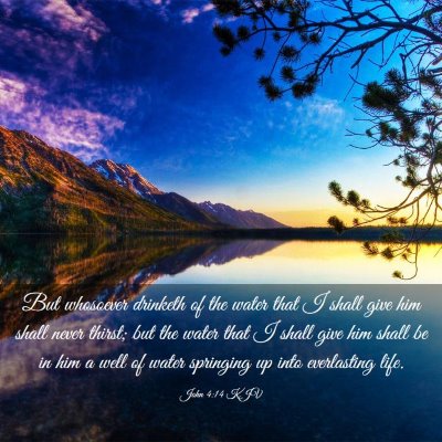 Picture 03 - John 4:14 KJV - But whosoever drinketh of the water that I shall - Bible Verse Picture
