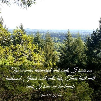 Picture 03 - John 4:17 KJV - The woman answered and said, I have no husband. - Bible Verse Picture