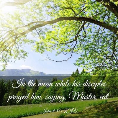 Picture 03 - John 4:31 KJV - In the mean while his disciples prayed him, - Bible Verse Picture