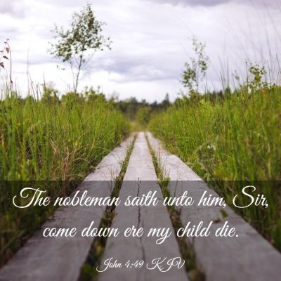 Picture 03 - John 4:49 KJV - The nobleman saith unto him, Sir, come down ere - Bible Verse Picture