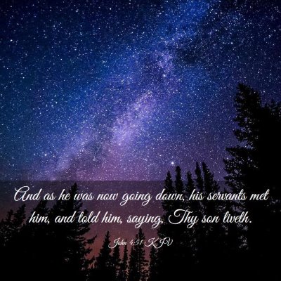 Picture 03 - John 4:51 KJV - And as he was now going down, his servants met - Bible Verse Picture