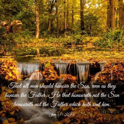 Picture 03 - John 5:23 KJV - That all men should honour the Son, even as they - Bible Verse Picture