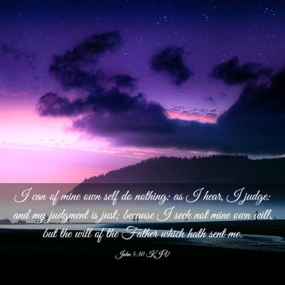 Picture 03 - John 5:30 KJV - I can of mine own self do nothing: as I hear, I - Bible Verse Picture
