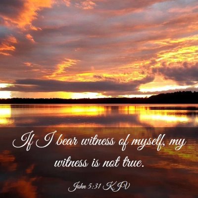 Picture 03 - John 5:31 KJV - If I bear witness of myself, my witness is not - Bible Verse Picture