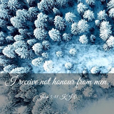 Picture 03 - John 5:41 KJV - I receive not honour from - Bible Verse Picture