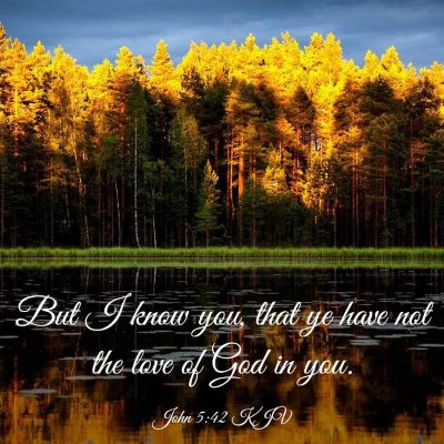 Picture 03 - John 5:42 KJV - But I know you, that ye have not the love of God - Bible Verse Picture