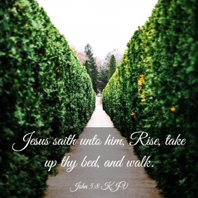 Picture 03 - John 5:8 KJV - Jesus saith unto him, Rise, take up thy bed, and - Bible Verse Picture