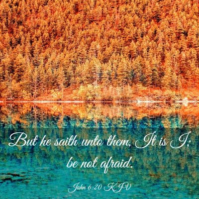 Picture 03 - John 6:20 KJV - But he saith unto them, It is I; be not - Bible Verse Picture