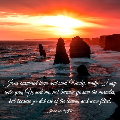 Picture 03 - John 6:26 KJV - Jesus answered them and said, Verily, verily, I - Bible Verse Picture
