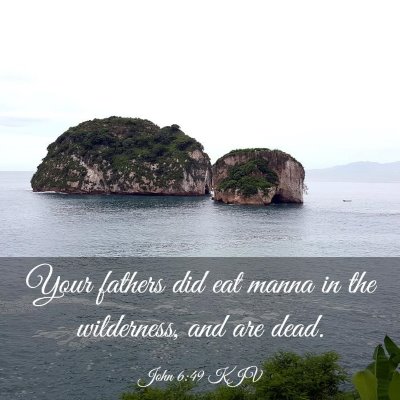 Picture 03 - John 6:49 KJV - Your fathers did eat manna in the wilderness, and - Bible Verse Picture