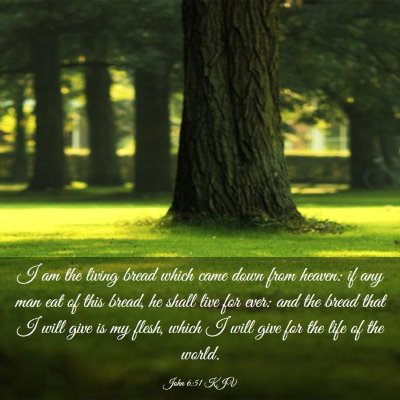 Picture 03 - John 6:51 KJV - I am the living bread which came down from - Bible Verse Picture