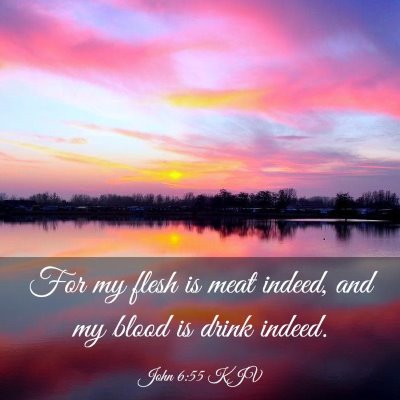 Picture 03 - John 6:55 KJV - For my flesh is meat indeed, and my blood is - Bible Verse Picture