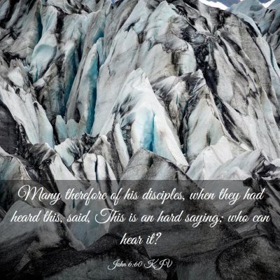 Picture 03 - John 6:60 KJV - Many therefore of his disciples, when they had - Bible Verse Picture