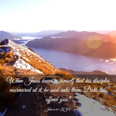 Picture 03 - John 6:61 KJV - When Jesus knew in himself that his disciples - Bible Verse Picture