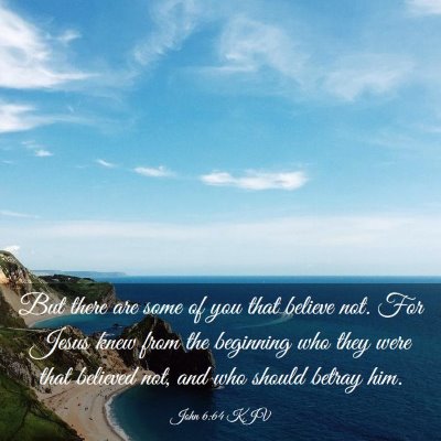 Picture 03 - John 6:64 KJV - But there are some of you that believe not. For - Bible Verse Picture