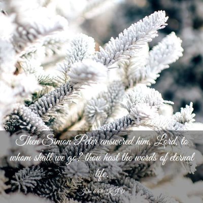 Picture 03 - John 6:68 KJV - Then Simon Peter answered him, Lord, to whom - Bible Verse Picture