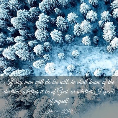 Picture 03 - John 7:17 KJV - If any man will do his will, he shall know of the - Bible Verse Picture