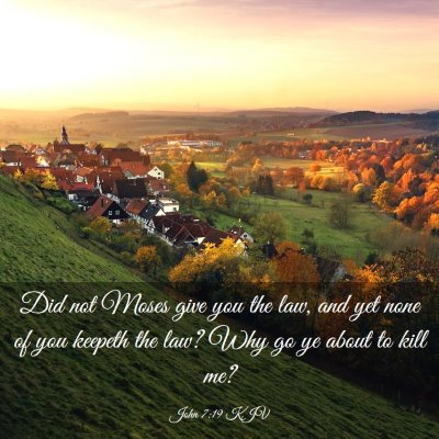 Picture 03 - John 7:19 KJV - Did not Moses give you the law, and yet none of - Bible Verse Picture