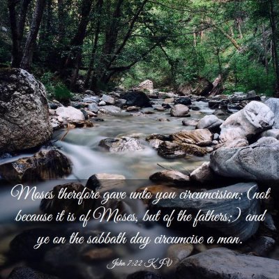Picture 03 - John 7:22 KJV - Moses therefore gave unto you circumcision; (not - Bible Verse Picture