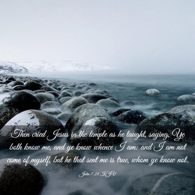 Picture 03 - John 7:28 KJV - Then cried Jesus in the temple as he taught, - Bible Verse Picture