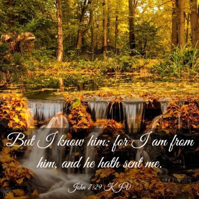 Picture 03 - John 7:29 KJV - But I know him: for I am from him, and he hath - Bible Verse Picture