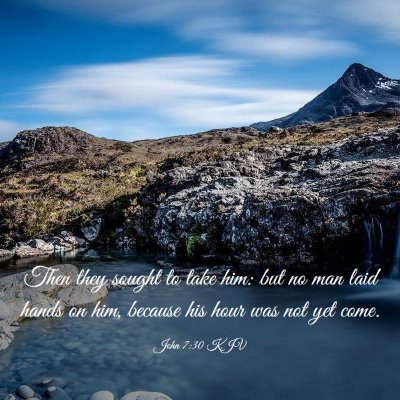 Picture 03 - John 7:30 KJV - Then they sought to take him: but no man laid - Bible Verse Picture
