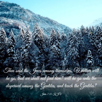 Picture 03 - John 7:35 KJV - Then said the Jews among themselves, Whither will - Bible Verse Picture