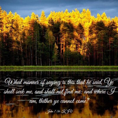 Picture 03 - John 7:36 KJV - What manner of saying is this that he said, Ye - Bible Verse Picture