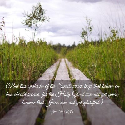 Picture 03 - John 7:39 KJV - (But this spake he of the Spirit, which they that - Bible Verse Picture